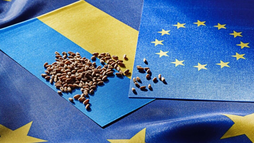 Ілюстративне фото. Фото: eurointegration